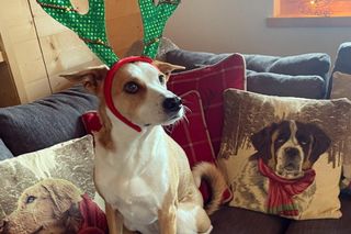 Tak mieszkają Aleksandra Kwaśniewska i Kuba Badach