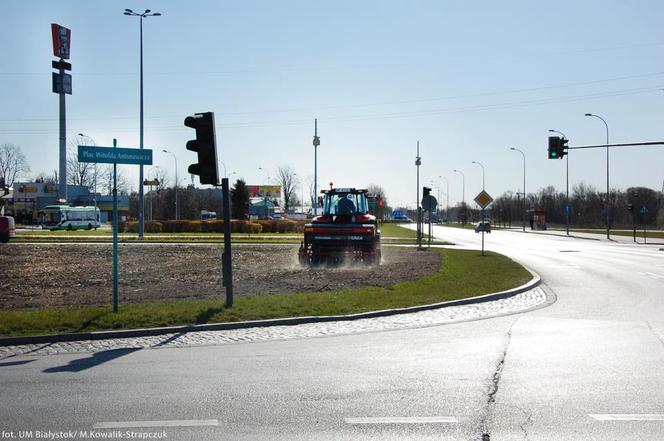 Nowe łąki kwietne w Białymstoku już powstają! Zobacz, gdzie dokładnie [ZDJĘCIA]