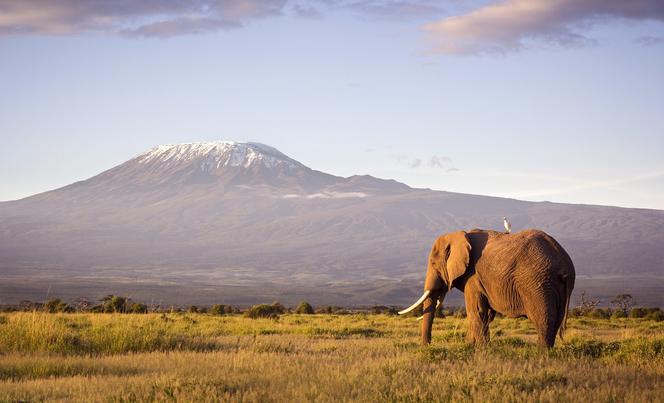 Kenia - widok na Kilimandżaro
