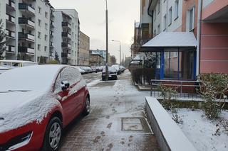 Śnieżyce, przenikliwy chłód i wichury do 70 km/h! Zima podnosi głowę