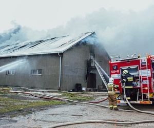 Pożar zakładu meblarskiego w Sadowie