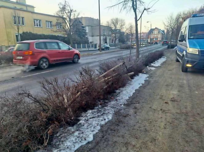 Wypadek w centrum Bydgoszczy. Kobieta trafiła do szpitala