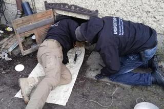 Strażak bestialsko znęcał się nad psem. „Nie był w stanie ustać na nogach” [ZDJĘCIA]