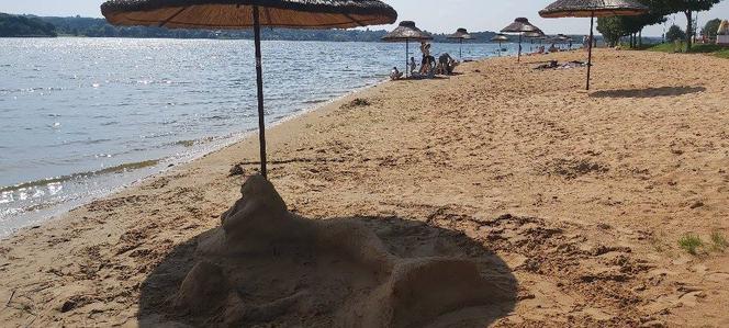 Szukamy imienia dla Syrenki, która pojawiła się na plaży w Brodach
