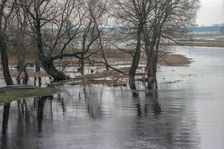 Biebrzański Park Narodowy, Północny Basen Biebrzy (okolice Goniądza)