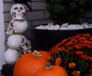 Małgorzata Rozenek-Majdan