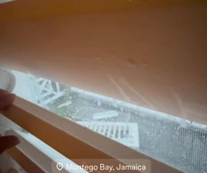 Aleksandra Żebrowska