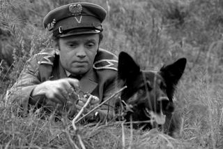 QUIZ z seriali i filmów, w których zagrały psy. Cywil i Szarik to dopiero początek!