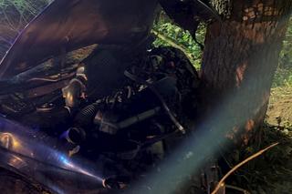 Śmiertelny wypadek pod Zgierzem. Audi z trzema osoba rozbiło się o drzewo [ZDJĘCIA].