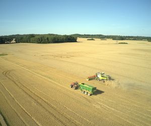 Ogromne gospodarstwo w warmińsko-mazurskim na sprzedaż. Było tam największe stado bizonów w Polsce