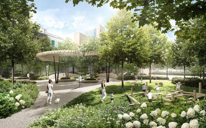 Okolice ul. Sienkiewicza po modernizacji - wizualizacje