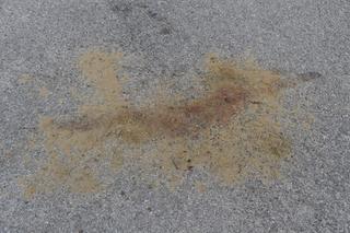 Potworna tragedia pod Radomiem. Miał być chrzest i ślub, będzie pogrzeb.