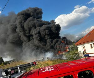 Pożar bazy transportowej w miejscowości Ławki w gminie Łuków