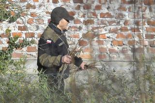 Radosław Sikorski. Wiosenne porządki w ogrodzie