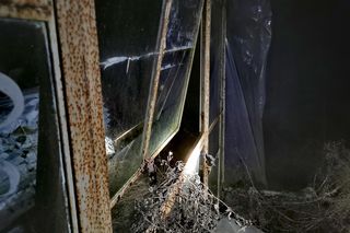 Szczęśliwy finał poszukiwań kobiety! Tylko pies był mógł ją tam znaleźć