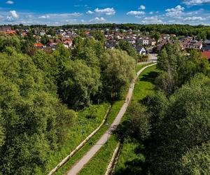 Miasta na Śląsku z największą wycinką drzew TOP 10‬