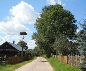 Puchły w woj. podlaskim