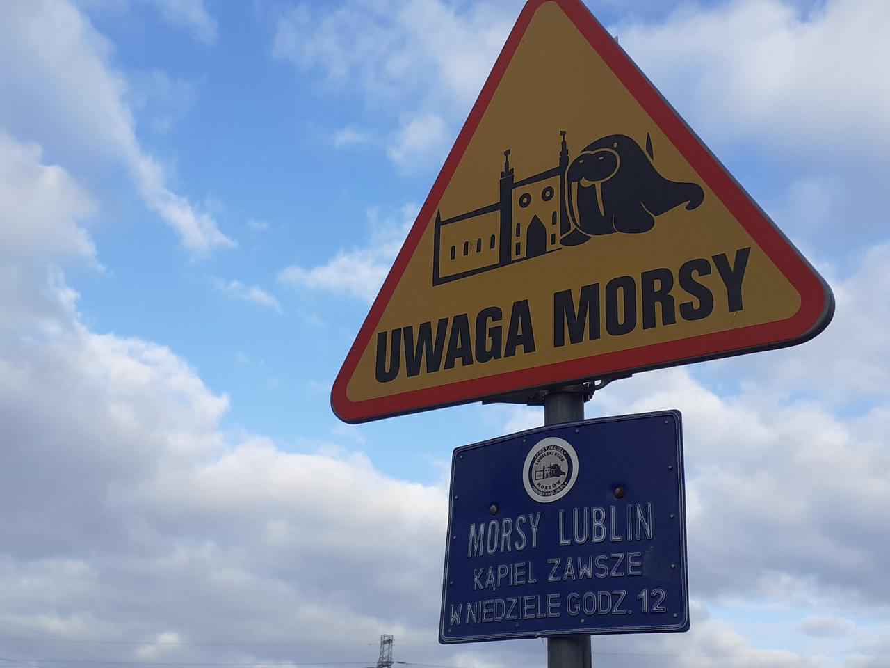 Morsy z Opola zaczynają zimę! To już 15. sezon