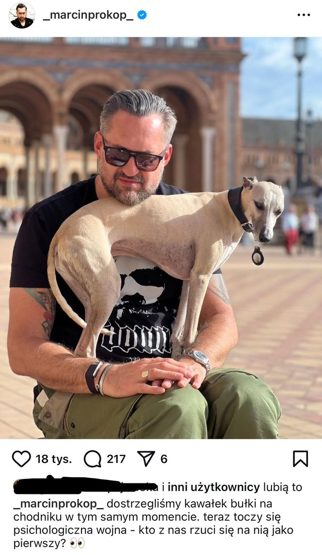 Te psy skradły serca gwiazd! Niektóre wyglądają jak z bajk