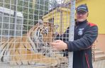 Mieszka z lwami odrzuconymi przez matkę i tygrysem. Usłyszał prokuratorskie zarzuty