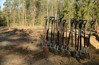 Przybędzie 19 milionów drzew! Olsztyńscy leśnicy rozpoczęli wiosenne sadzenie