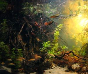 Rozmawiamy z Tomaszem Wiśniewskim, założycielem Aqua Dreams Bydgoszcz