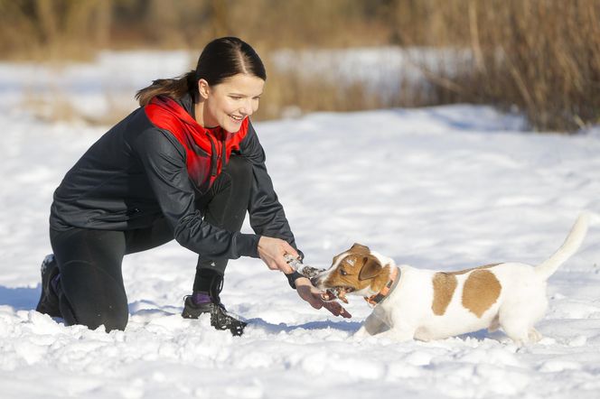 Te psy skradły serca gwiazd! 