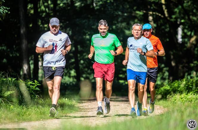 Parkrun Las Aniołowski w Częstochowie. Biegowa rekreacja na 5 kilometrach [ZDJĘCIA]