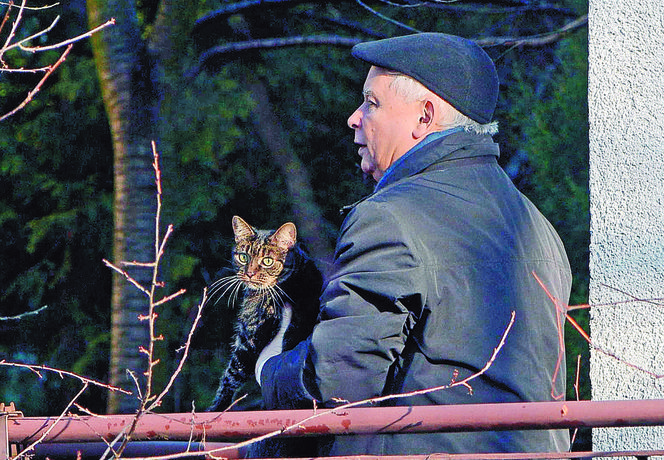 Jarosław Kaczyński z kotem