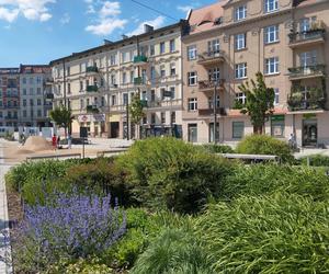 Rynek Łazarski w Poznaniu