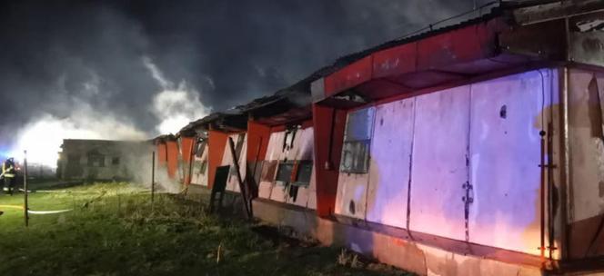 Pożar w Glinicy. Spłonęło 20 tysięcy kurcząt