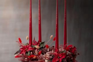 Wieniec adwentowy z poinsecjami