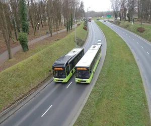 Zostań kierowcą autobusu w Gorzowie. Jakie trzeba spełnić kryteria?