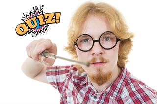 Harry Potter: auror, magizoolog, uzdrowiciel - jaki magiczny zawód powinieneś wykonywać? QUIZ! 