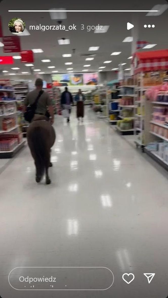 Małgorzata Ostrowska-Królikowska spotkała konia w supermarkecie. Wszystko nagrała!