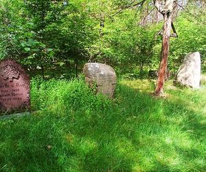 Leśny cmentarz rodu von Ramin