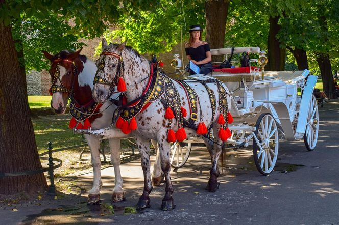 To miasto w Małopolsce to najlepszy city break w Europie. Jest popularniejsze nawet od Wenecji