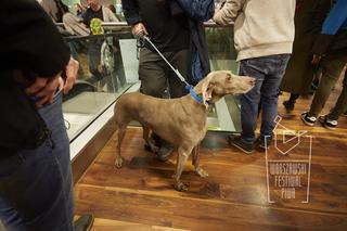 Warszawski Festiwal Piwa (23-25 marca 2023 r.)