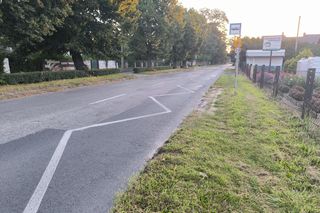 Ulica Gronowska i jej wizualizacje