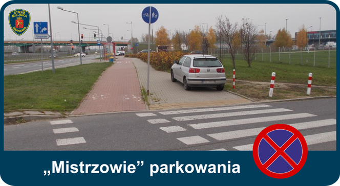 Mistrzowie parkowania. Tak kierowcy parkują w Warszawie