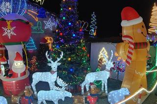 To najbardziej świąteczny dom na Dolnym Śląsku. Wszyscy chcą go zobaczyć 