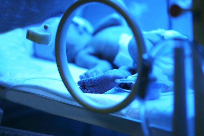 W Szczecinie przyszły na świat trojaczki. Nagranie maluchów bije rekordy wyświetleń