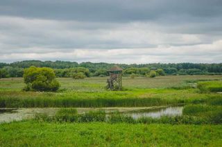 Rzeka Narew na Podlasiu