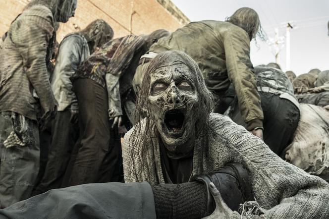 The Walking Dead finał: zwiastun i data premiery ostatniego odcinka