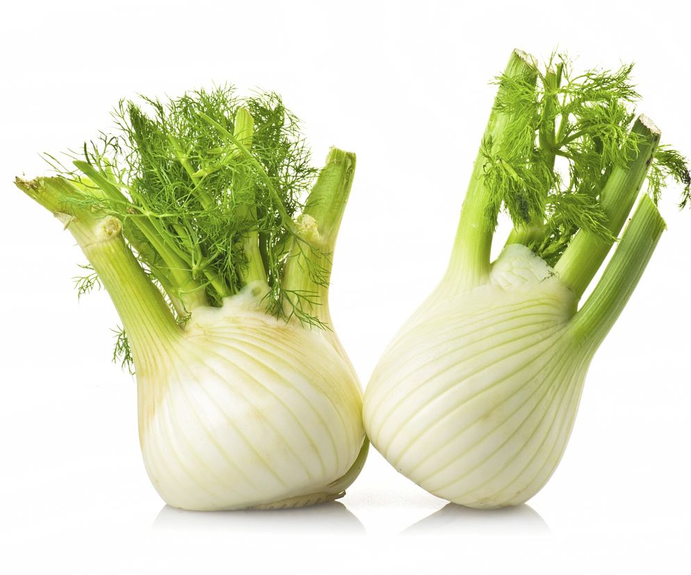 KOPER WŁOSKI (FENKUŁ) - właściwości i zastosowanie. Przepisy na dania z fenkułem