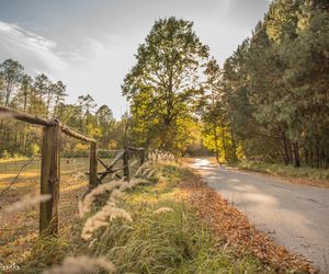 Klimatyczna wieś na północy świętokrzyskiego. Popularna wśród turystów, kuracjuszy i grzybiarzy. Galeria zdjęć