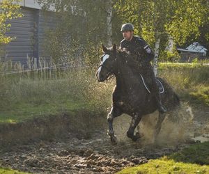 Policyjne konie zdały egzamin!