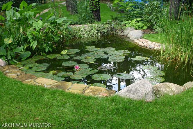 Feng shui: urzadzamy ogrod