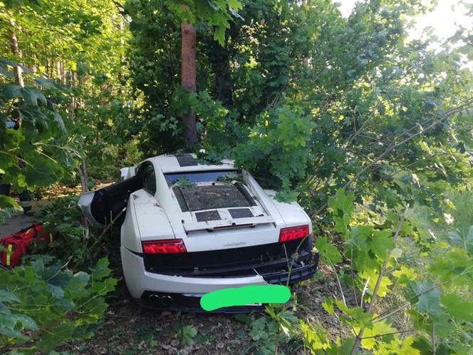 Luksusowe Lamborghini Gallardo rozbite na drzewie