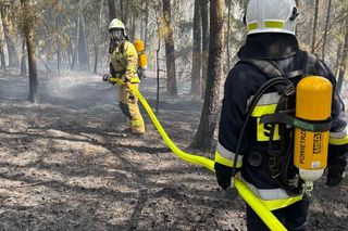 Pożar lasów w powiecie bocheńskim